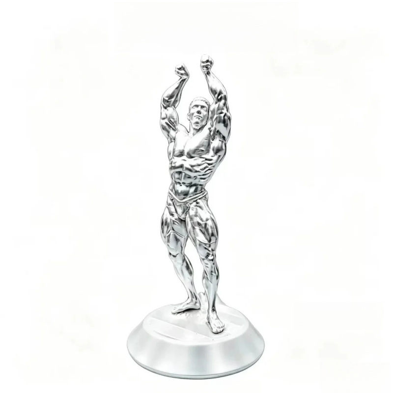 Hardcore Muskulöse Männliche W – 3D Printing Gold Bewertung und Preis